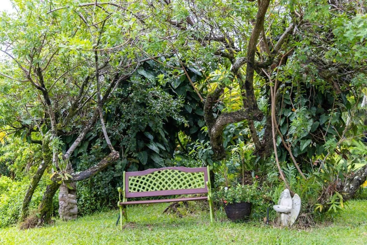 Chalet Jasmine Suite On Lush Farm In Haiku, Maui Jungle Huelo