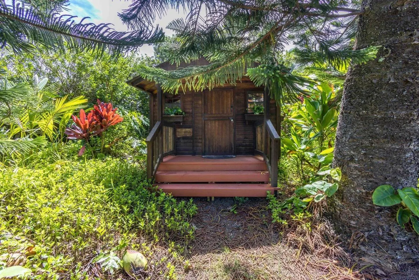 Jasmine Suite On Lush Farm In Haiku, Maui Jungle Huelo United States